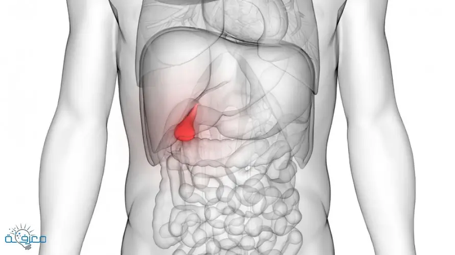 اعراض المرارة
